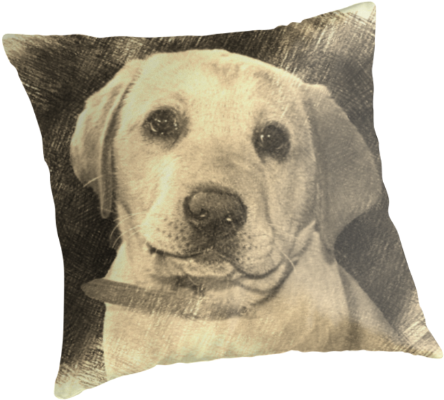 Labrador Pupthrow Pillow By Fantasytripp - Labrador Retriever (875x875), Png Download