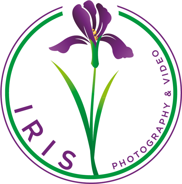 Iris Flower Png (777x764), Png Download