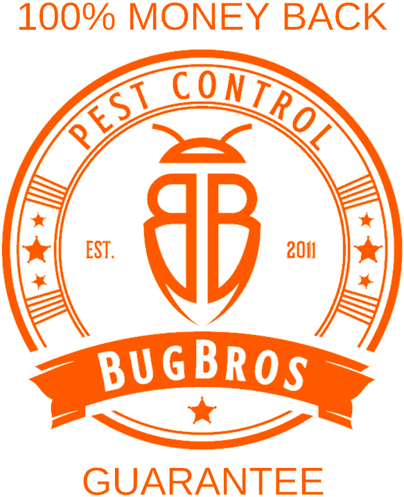 Image - Circle (800x800), Png Download