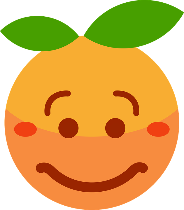 Clementine, Orange, Cartoon, Emotions, Emoticon, Shame - Orange With Face Drawing (631x720), Png Download