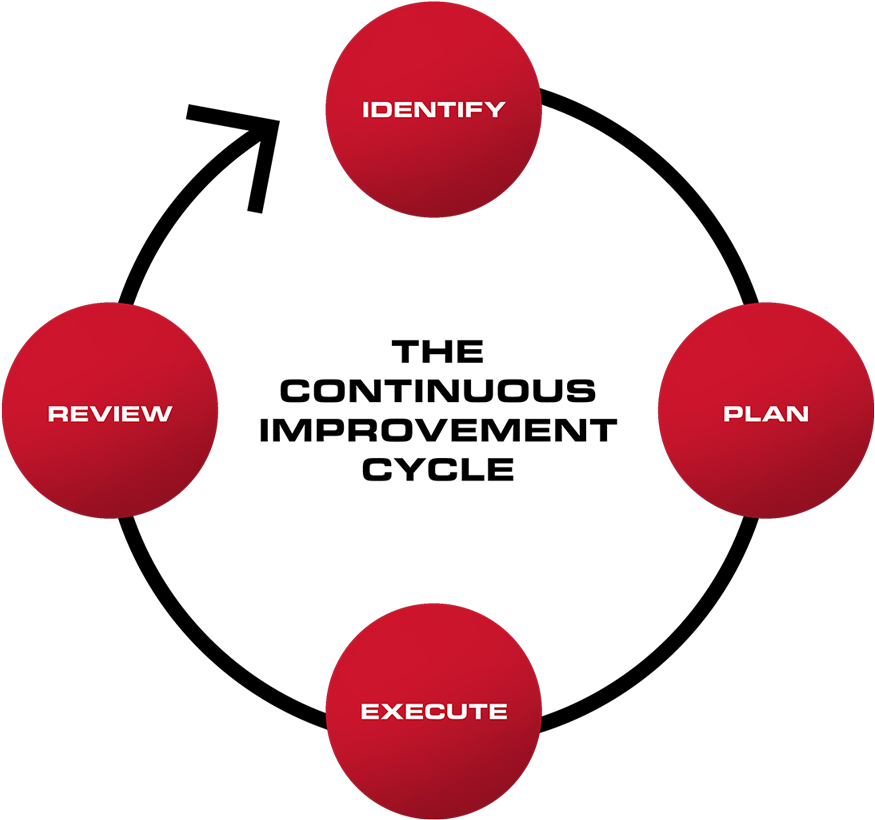 Ci Requires A Deliberate And Sustained Effort, And - Tui Chain Of Distribution (1536x1024), Png Download