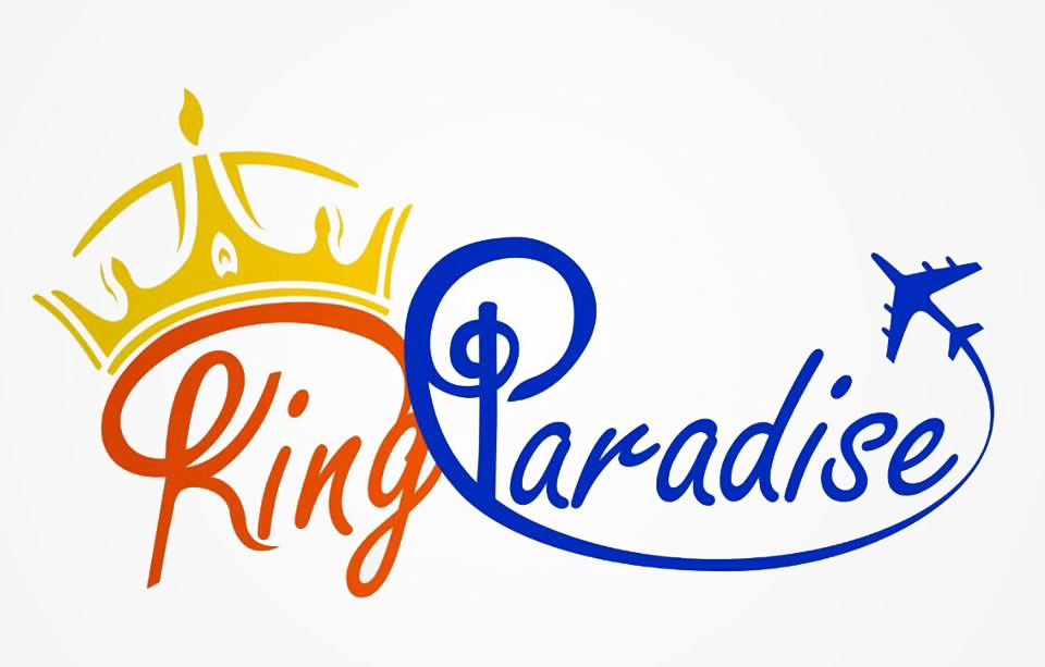 King-logo - Airplane Symbol (960x613), Png Download