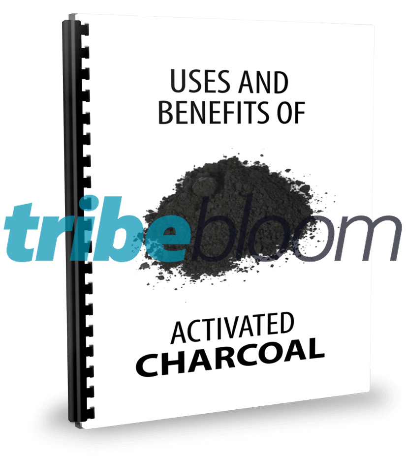 Activated Charcoal Plr Report - Judy And Mary 15th Anniversary (825x927), Png Download