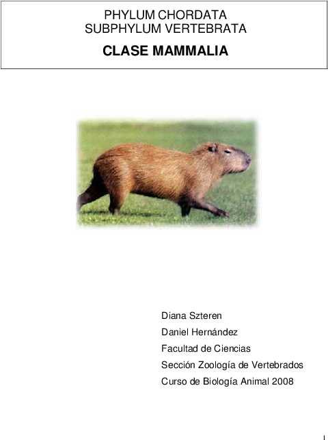Mammalia Animal Superior Reproduccion Animales Png - Capybara (612x792), Png Download