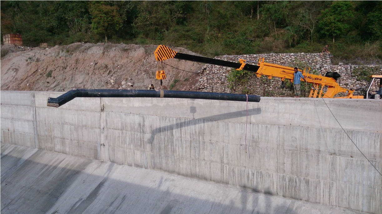 Baner Sangam Shpp - Tree (1222x916), Png Download