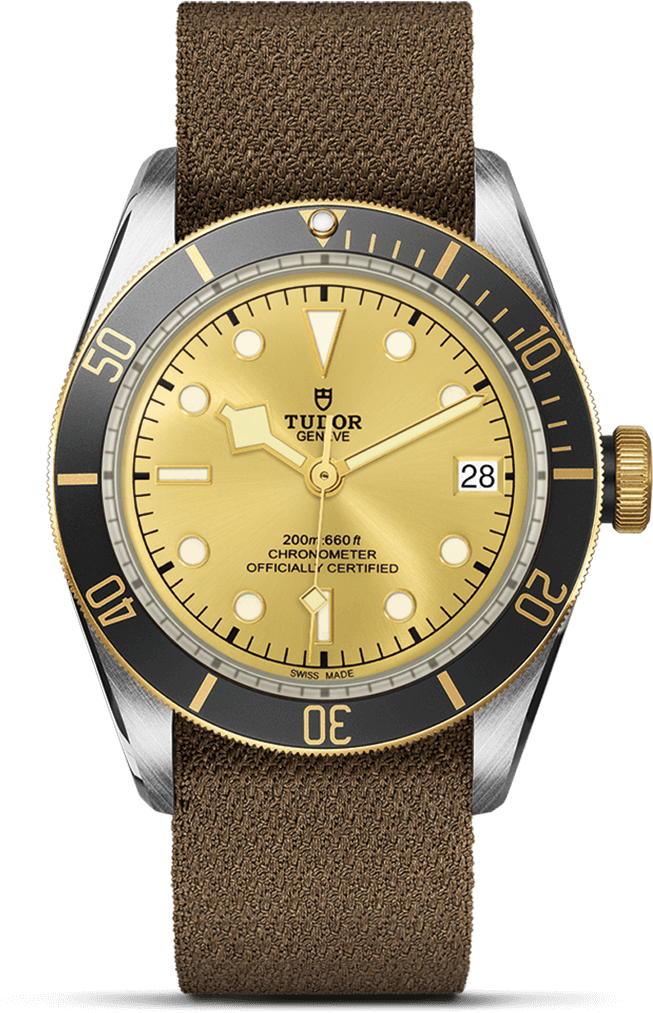 41 Mm Steel Case Fabric Strap - Tudor Black Bay S&g Champagne Dial (900x1200), Png Download