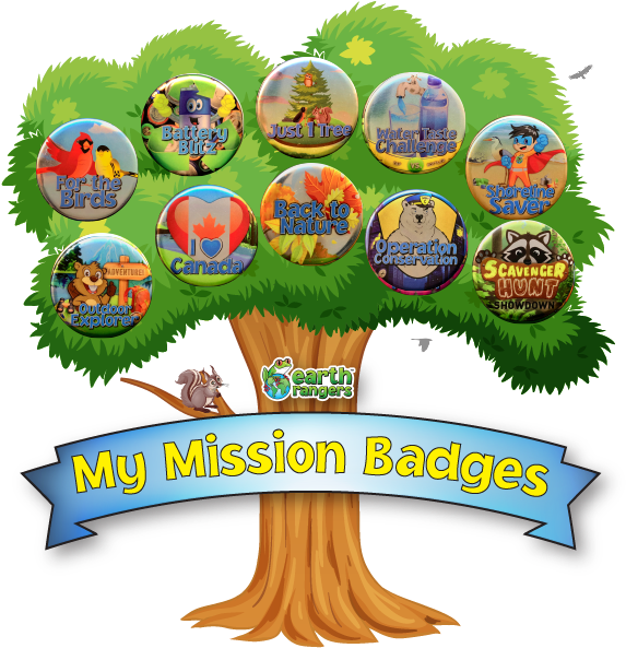 Looking For A Way To Display Your Mission Badges (601x600), Png Download