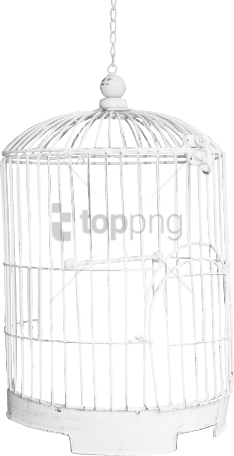 Free Png Download Birdcage Png Images Background Png - Cage (480x934), Png Download