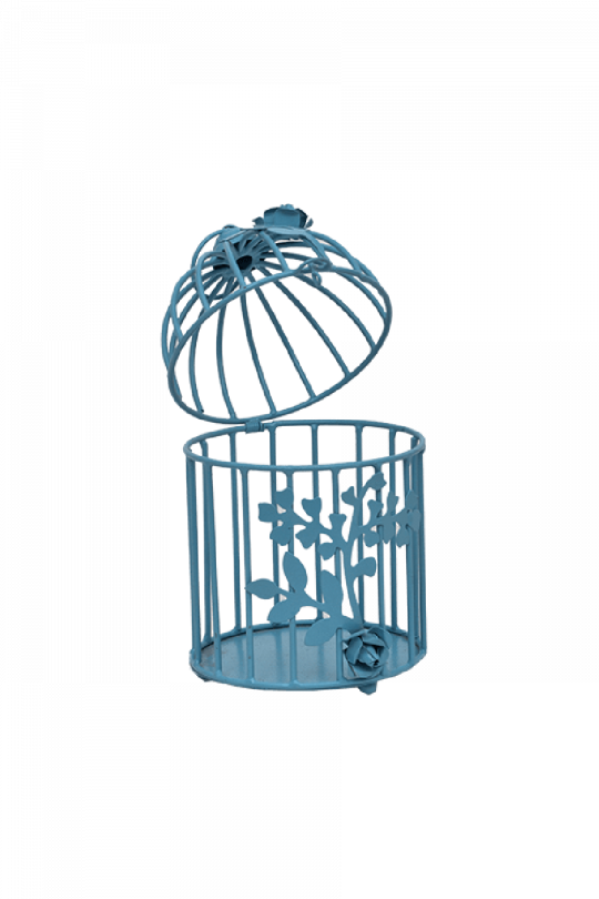 Cage (540x810), Png Download