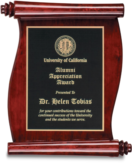 7c702a - Appreciation Award To Student Trophy (545x675), Png Download