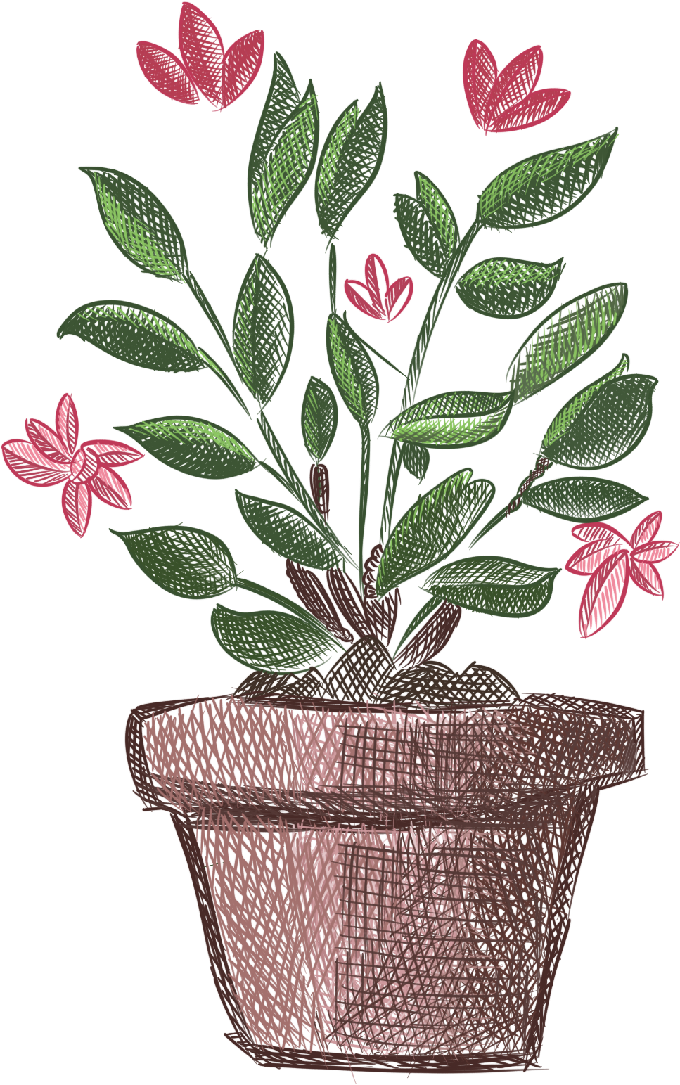Plantas Pintadas A Mano Flores Frescas En Maceta Png - Plants (2000x2000), Png Download