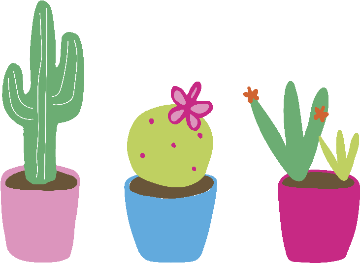 Cute Cactus - Flowerpot (800x797), Png Download