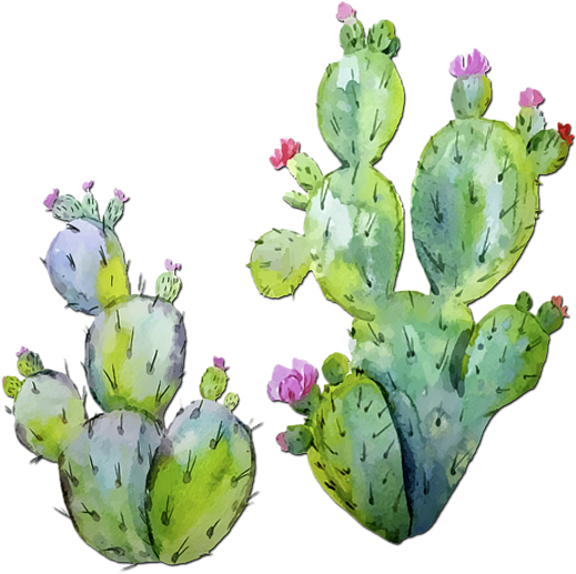 600 X 600 5 - Prickly Pear Cactus Watercolor (600x600), Png Download