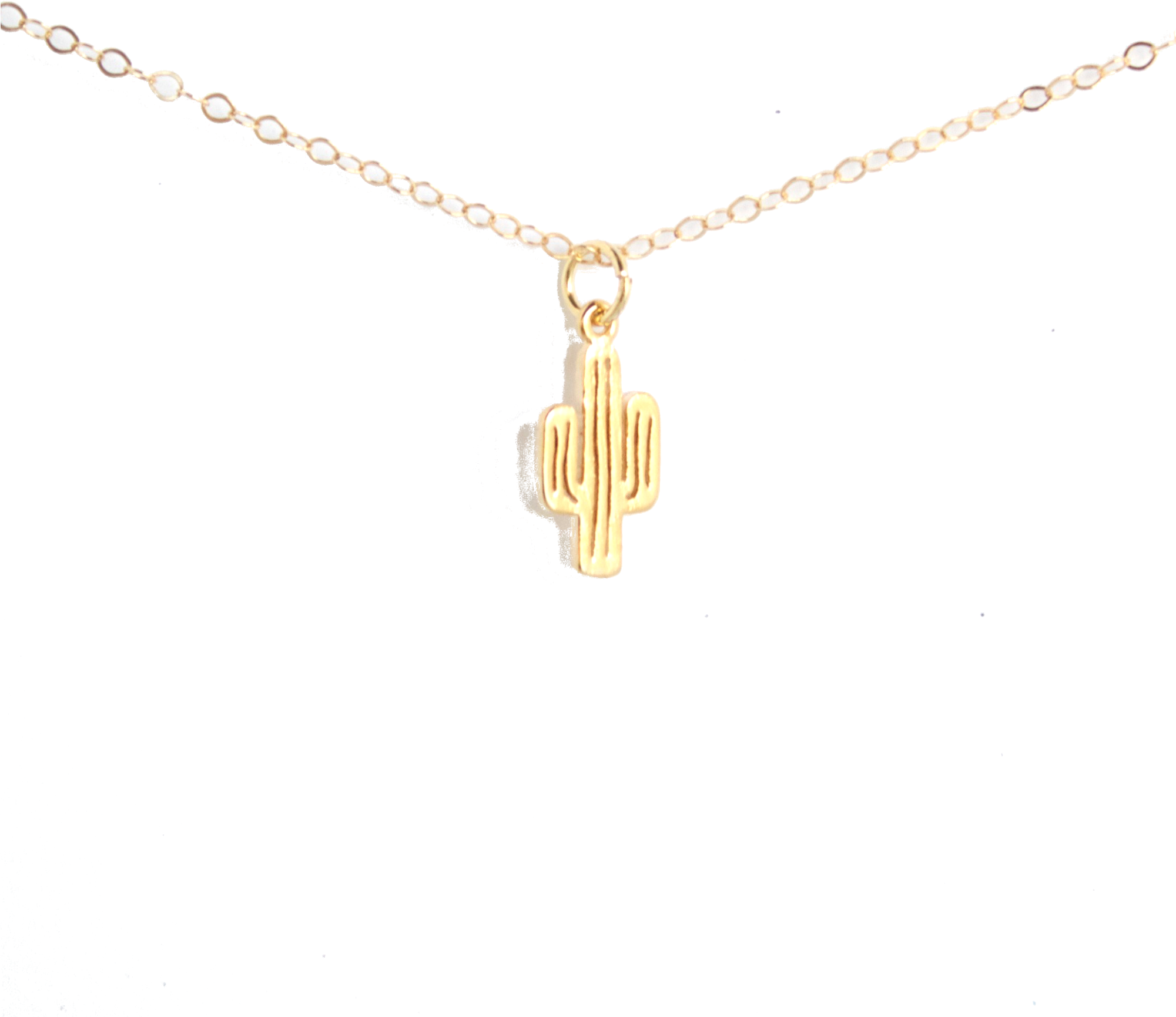 Minimalist Cactus Necklace - Pendant (2000x2000), Png Download