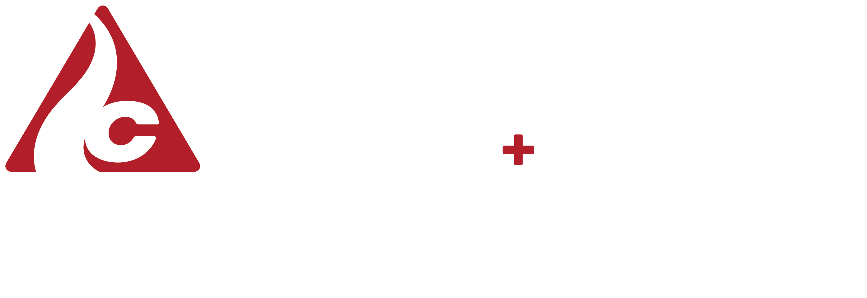 Carvers Ski & Bike Rentals In Breckenridge, Colorado - Number (2787x960), Png Download