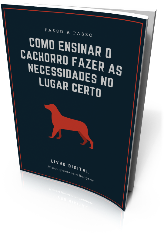 E-book Como Ensinar O Cachorro Fazer As Necessidades - Companion Dog (600x800), Png Download