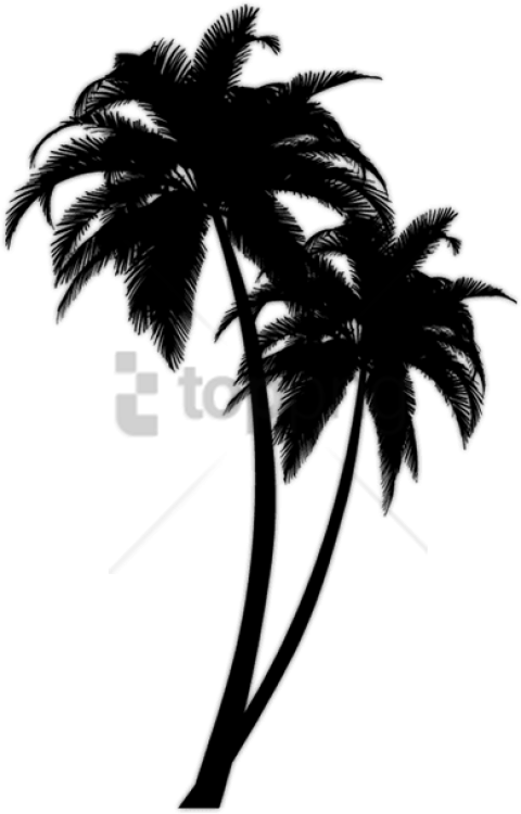 Free Png Black Palm Tree Png Image With Transparent - Black Palm Tree Png (480x750), Png Download