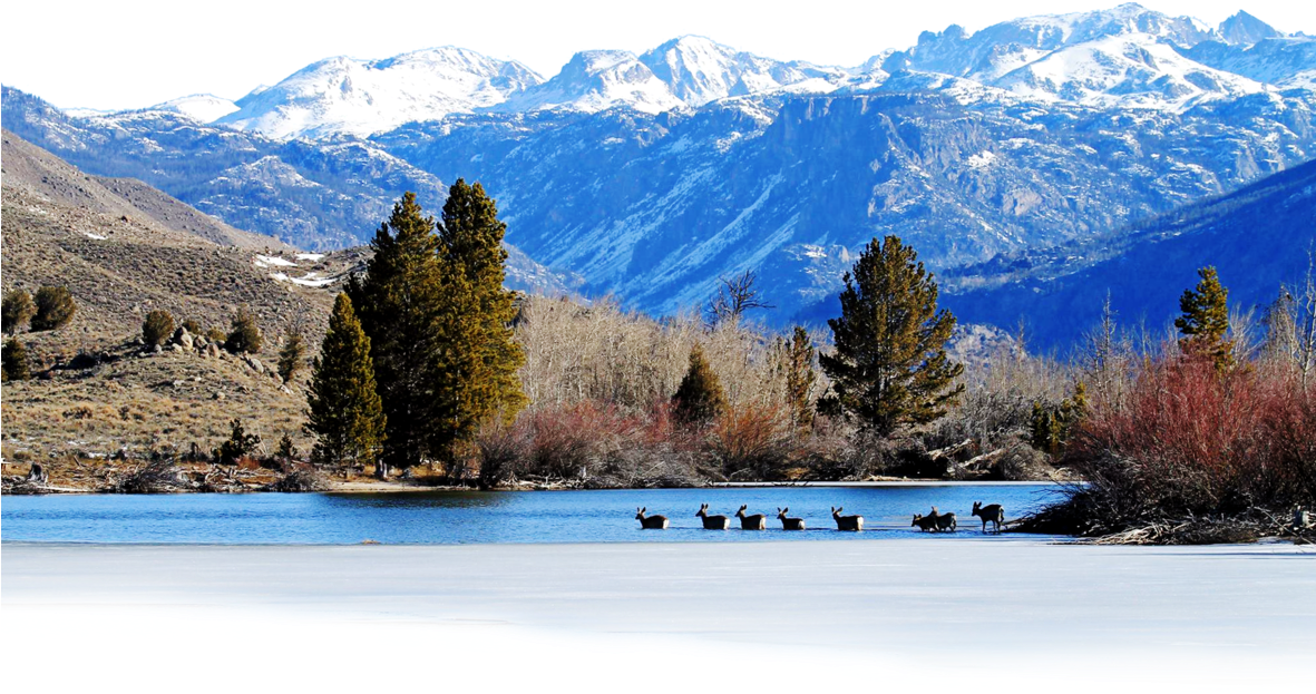 Snow (1180x662), Png Download