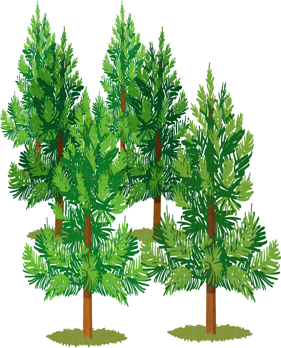 Christmas Tree (4444x2489), Png Download