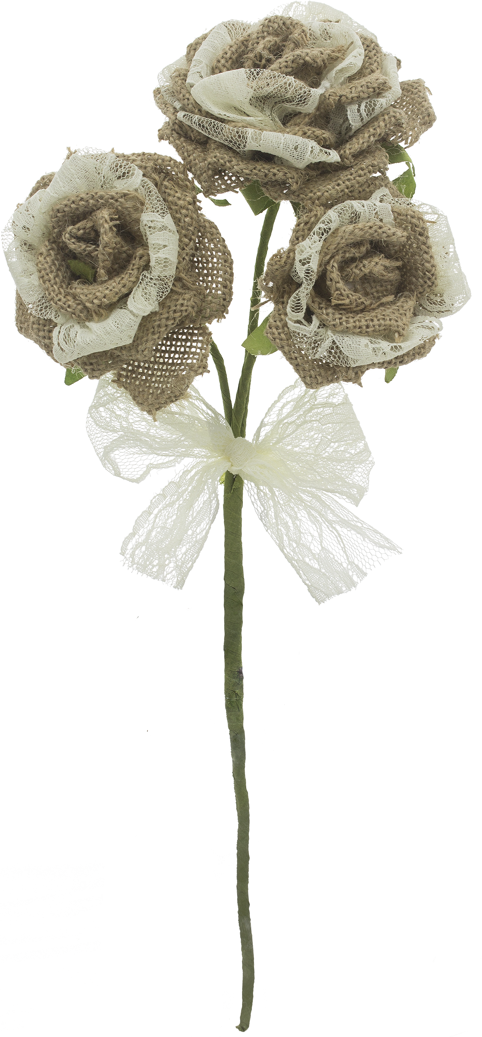 Fx49841 - Garden Roses (4272x4272), Png Download