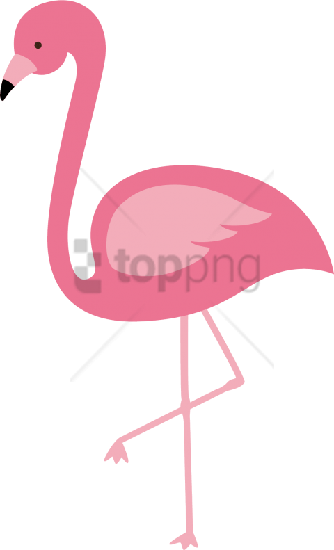 Free Png Flamingo Png Image With Transparent Background - Vector Flamingo Png (480x791), Png Download