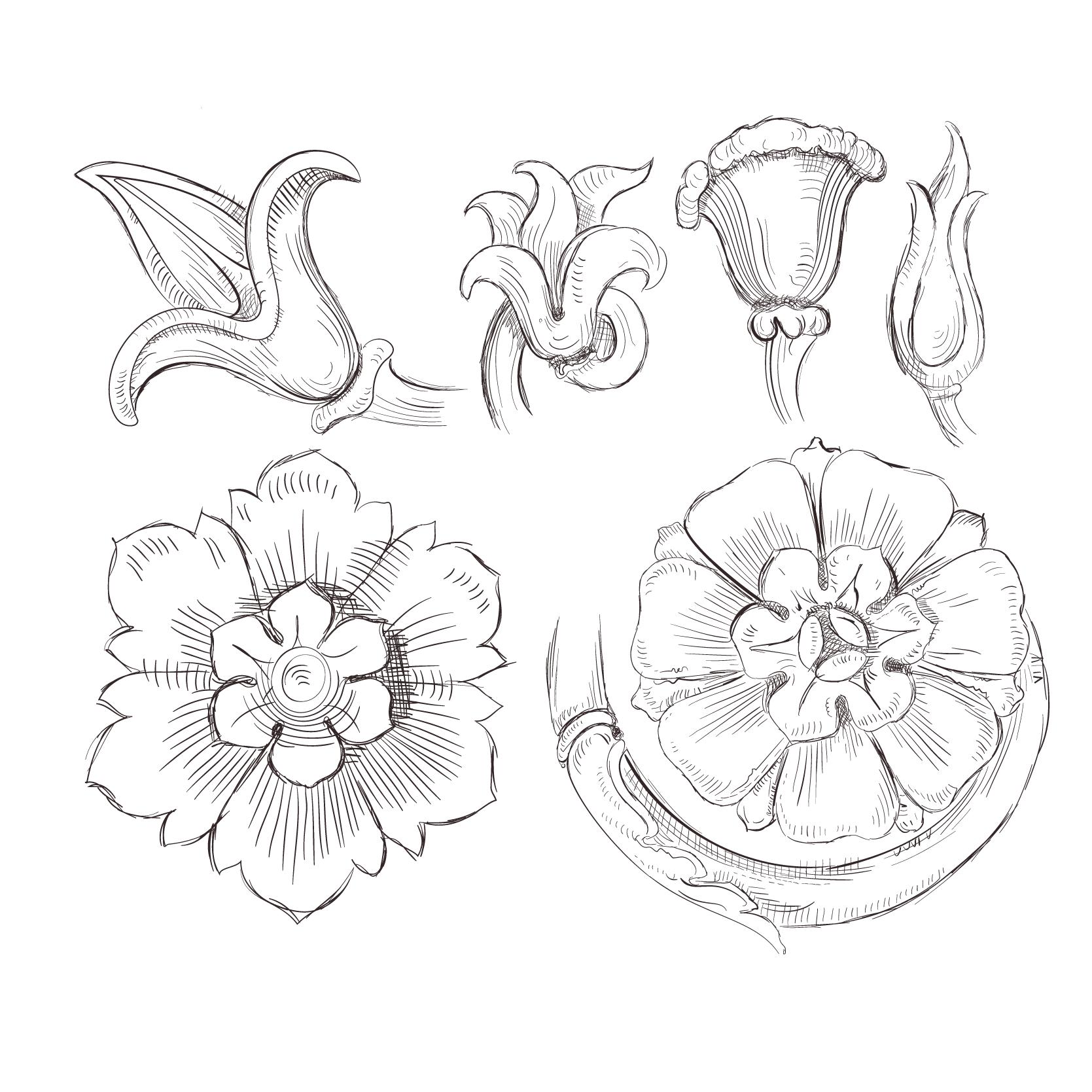 Drawing (1669x1669), Png Download