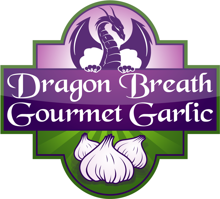 Dbgg & (1000x904), Png Download