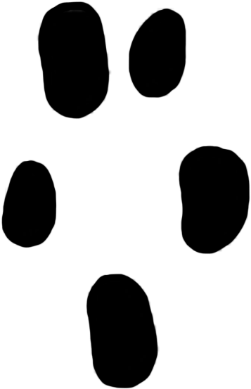 Saying Clipart Paw Print - Shrew Paw Print (430x1004), Png Download