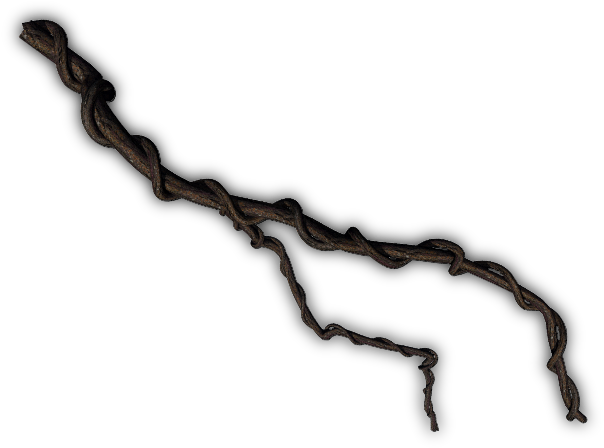 06 Feb 2009 - Jungle Vines Liane Jungle Png (640x480), Png Download