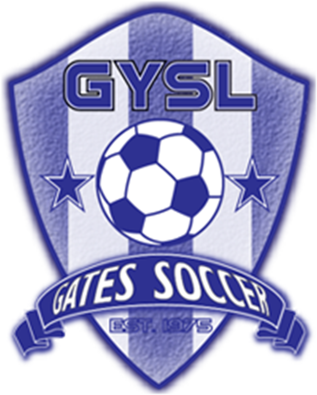 Aff Suzuki Cup 2010 (1280x1280), Png Download