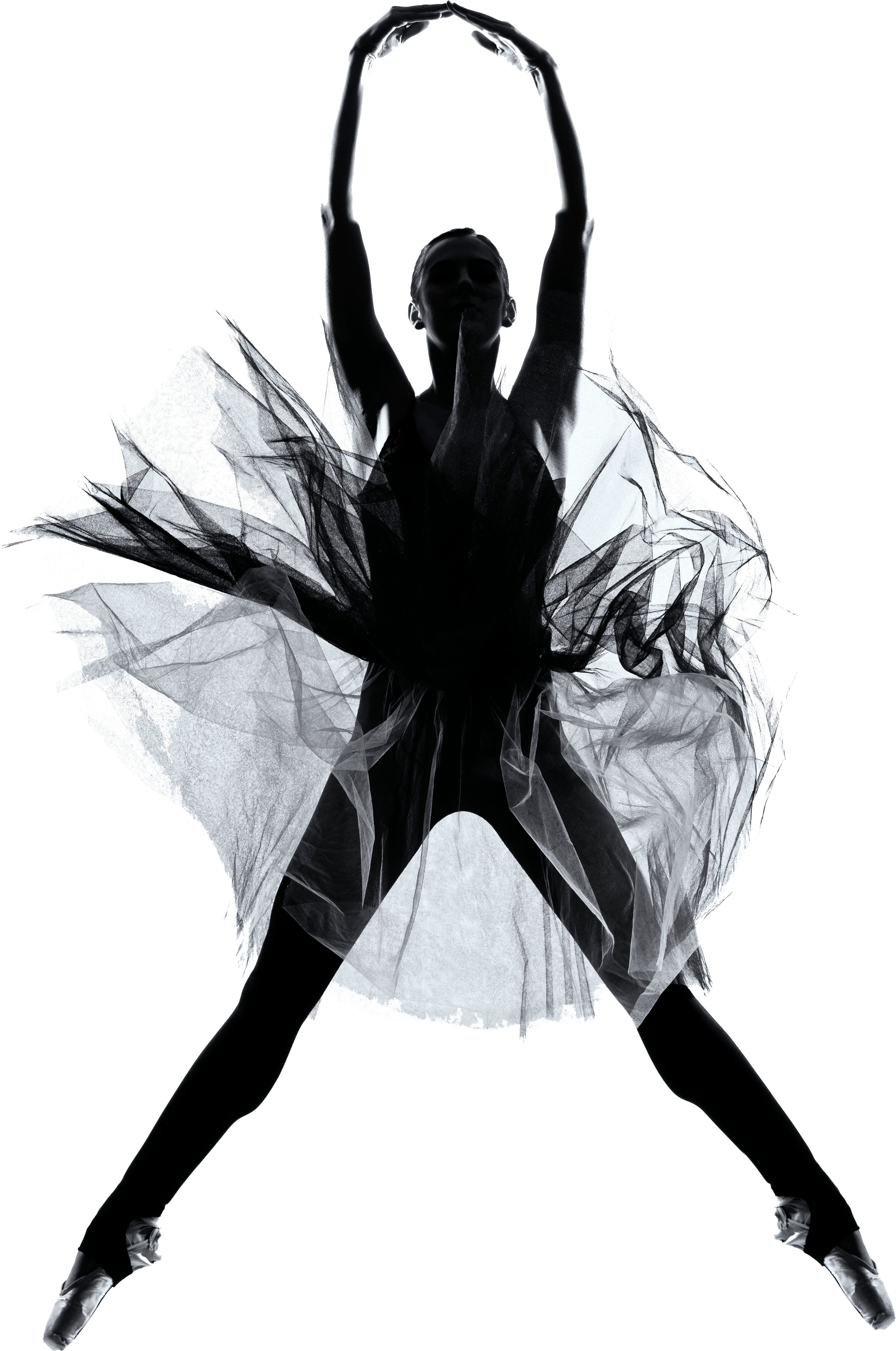 Bailarina (4550x6088), Png Download