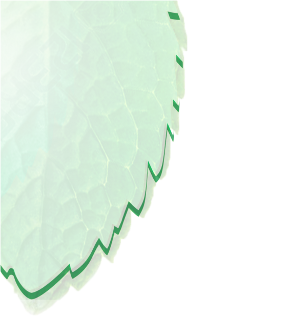 Hoja-600x630 - Tree (600x630), Png Download
