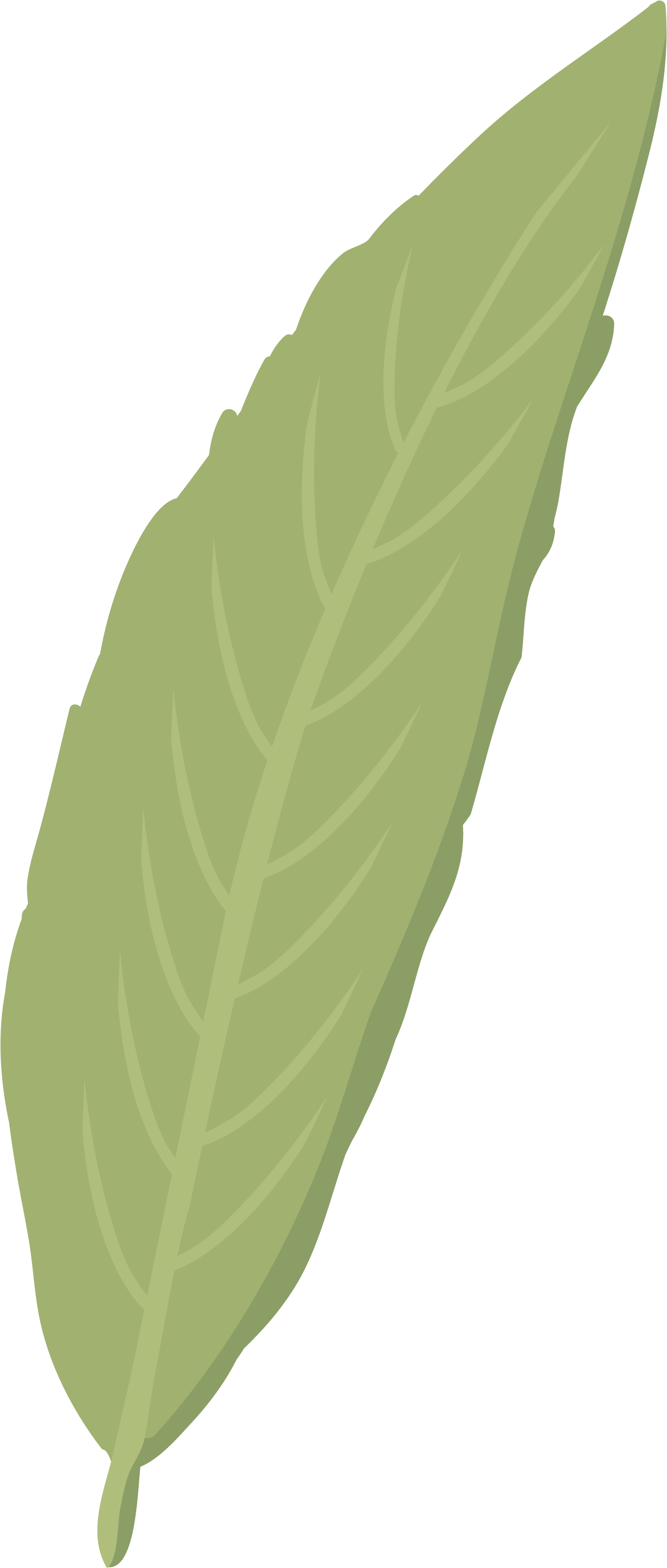 Hoja - Illustration (2480x3508), Png Download