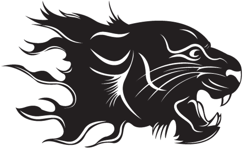 Black Panther Eyes - Tribal De Tigre En Fuego (800x800), Png Download