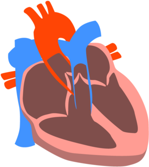 Heart (1000x563), Png Download