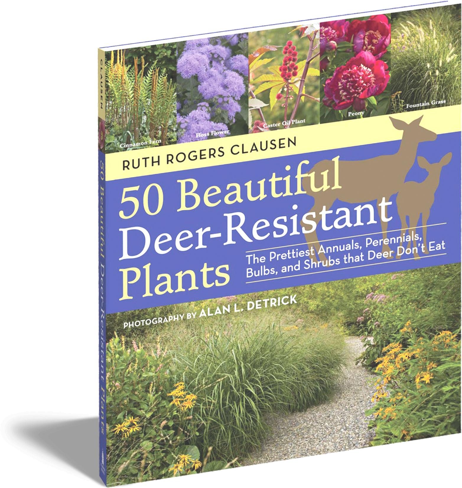 50 Beautiful Deer Resistant Plants Workman Publishing - Plants Deer Don T Like (1650x1725), Png Download