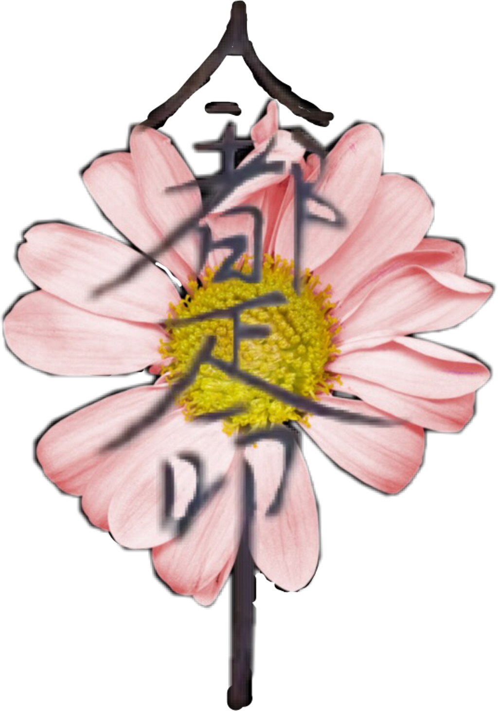 Download Japanese Sticker Daisy Full Size PNG Image PNGkit