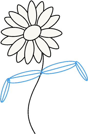 How To Draw Daisy Flower - Chamomile (678x600), Png Download