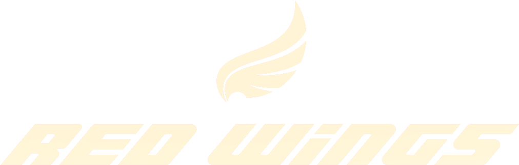 The Authentic Buffalo Wingsdomicilios - Graphic Design (1073x382), Png Download