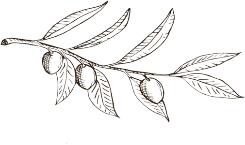 Creative Photography Logo Ideas Png (1000x1000), Png Download