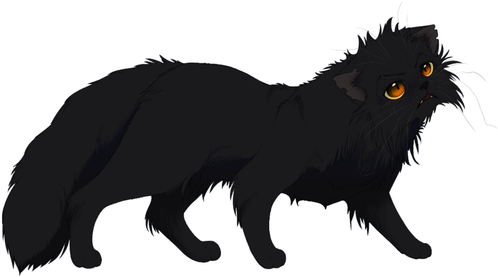 Anime Cats Anime Pictures Right Png Anime Cats - Black Anime Cat Transparent (1100x680), Png Download
