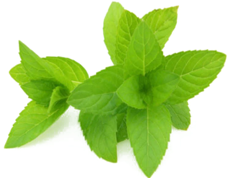 Peppermint Extract (800x600), Png Download