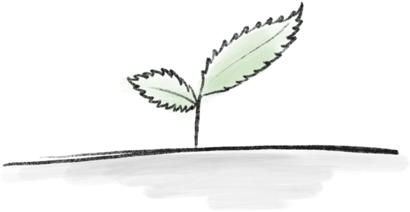 Mint-1 - Illustration (1000x1000), Png Download