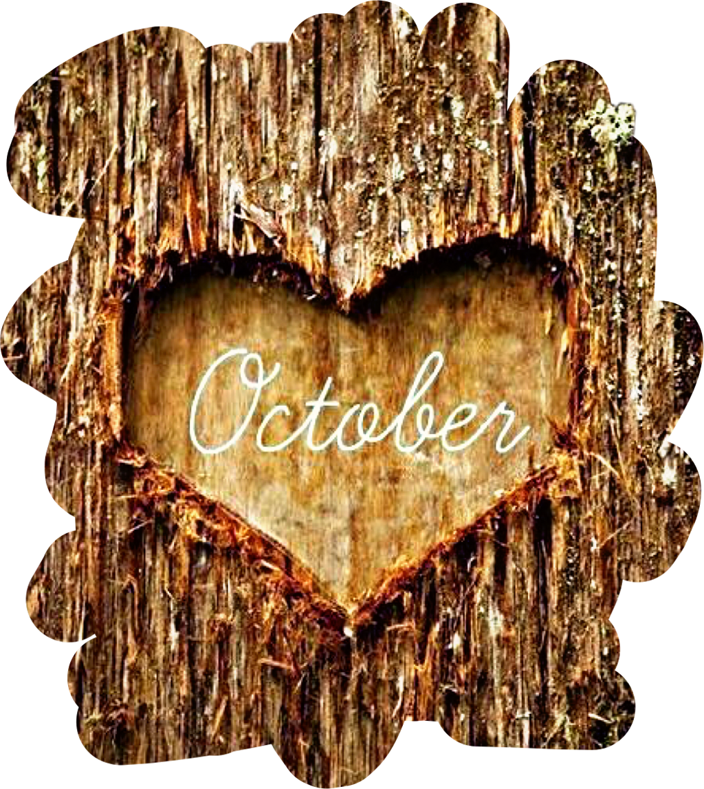#tree #bark #heart #october #autumn #fall #freetoedit - October Love (1024x1147), Png Download