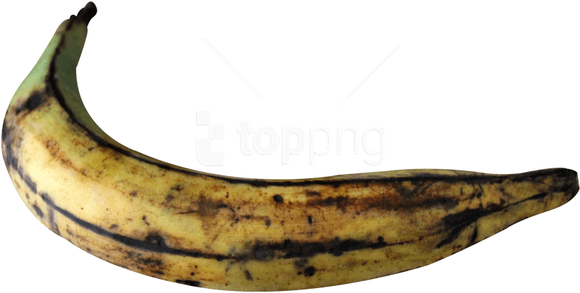 Free Png Plantain Banana Png Images Transparent (850x431), Png Download