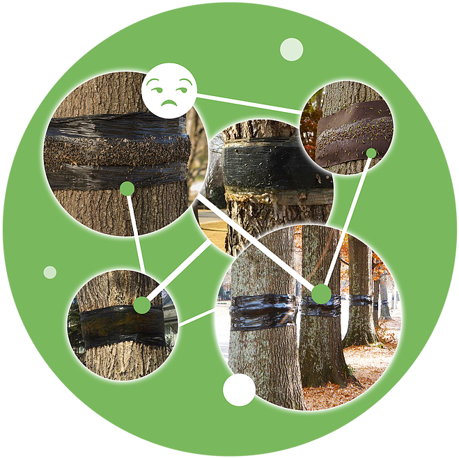 Trees, Eco Friendly, Environmentally Friendly, Eco - Lawn (950x950), Png Download