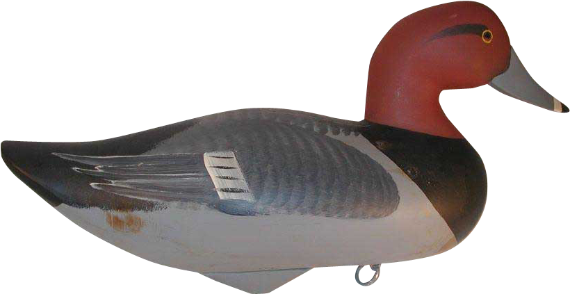 Contemporary Carved Wood Redhead Duck Decoy By Jim - Canvasback Duck (819x819), Png Download