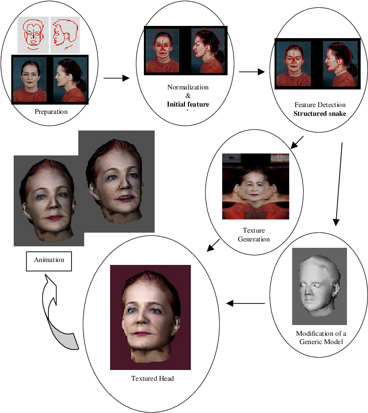 Overall Flow For 3d-head Reconstruction From Two Orthogonal - Collage (765x858), Png Download