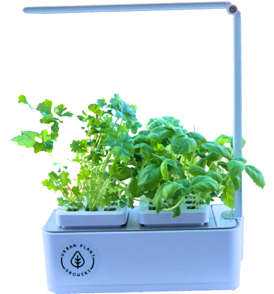 Smart Garden Basil And Coriander Seeds One Year Nutrient - Flowerpot (1000x665), Png Download