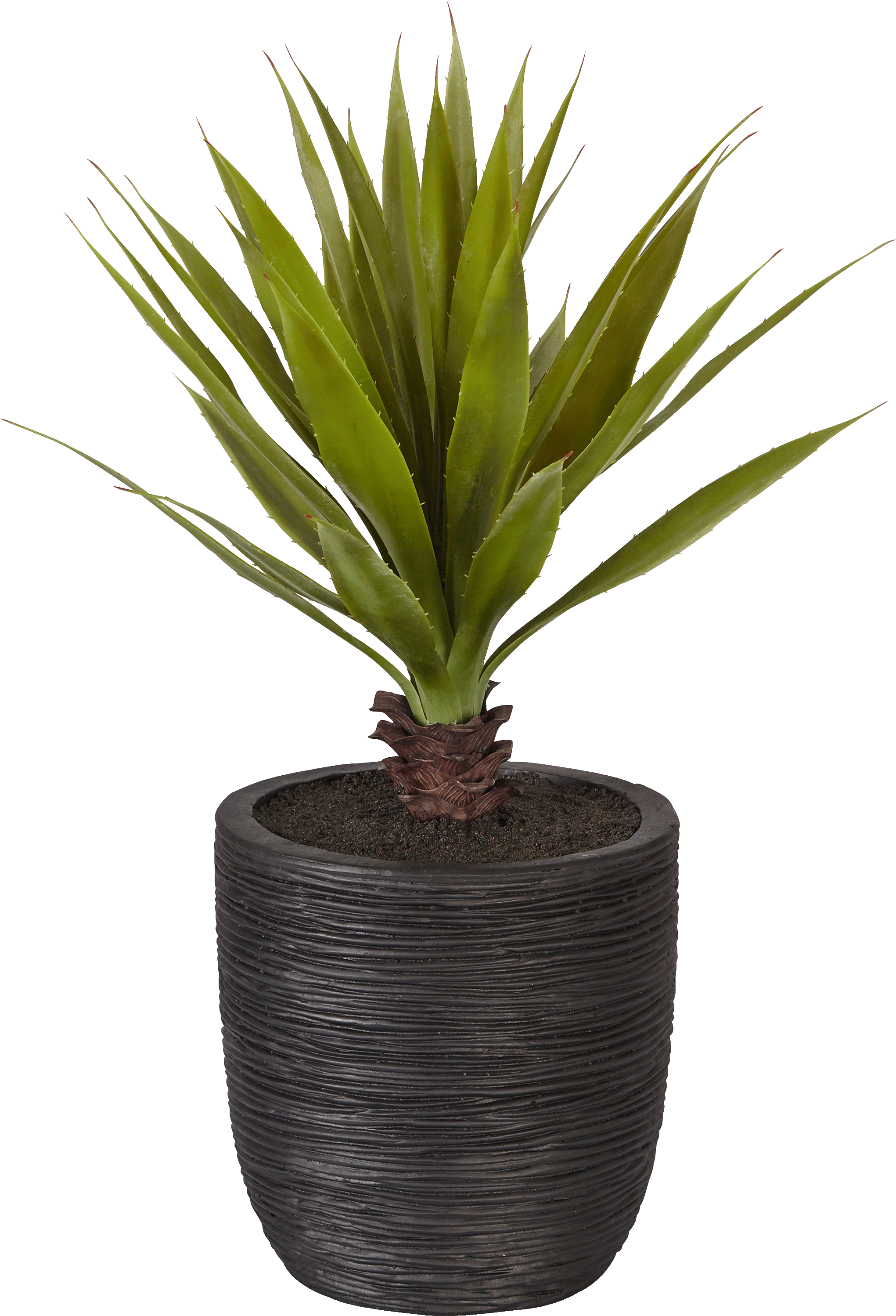 Plante Artificielle En Pot Noir H71cm-yucca - Pot De Plante Png (3000x3000), Png Download